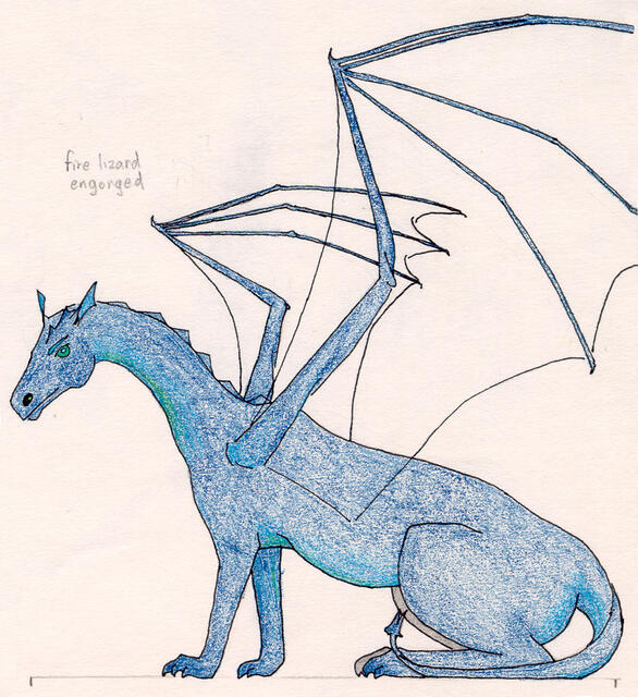 Blue-Fire-Lizard