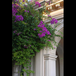 P1000884