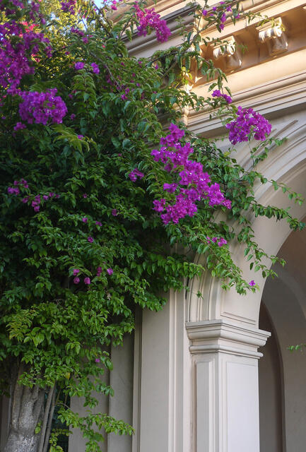P1000884