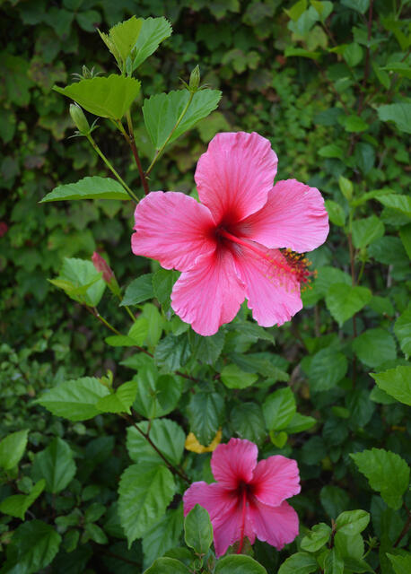 P1000956