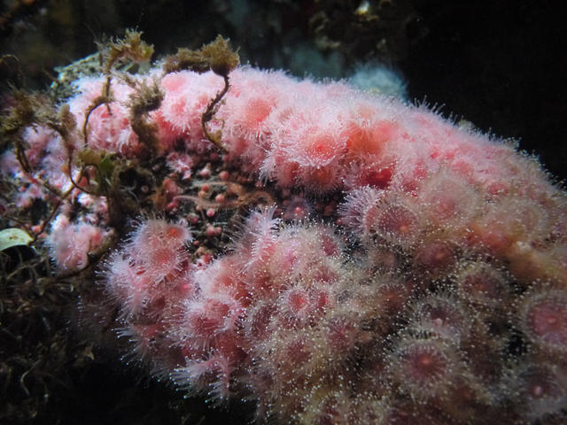 P1010271
