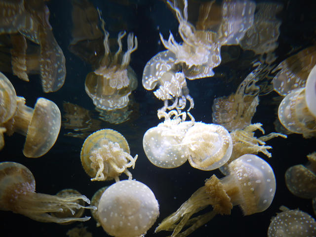 P1010284
