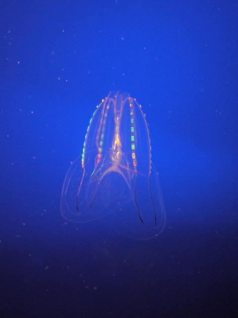 P1010293
