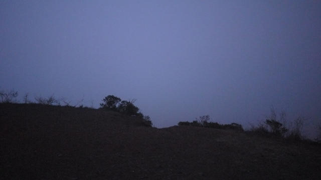 P1010329