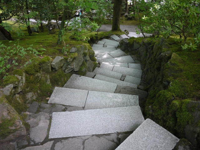 P1010530