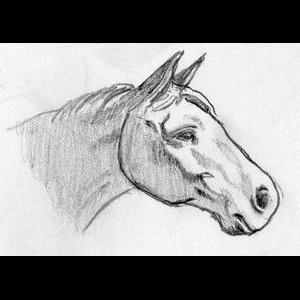 Horse-Head