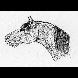 Pointillist-Horse-Head